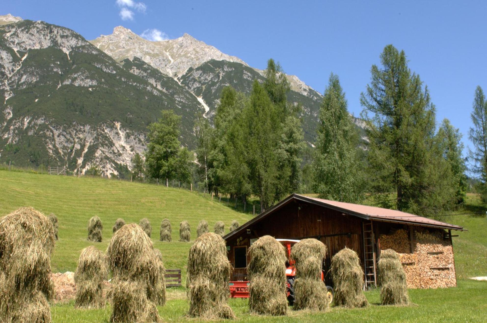 Haus Elisengrund Am Geigenbuehel - Chalet Prive Ζέεφελντ Εξωτερικό φωτογραφία